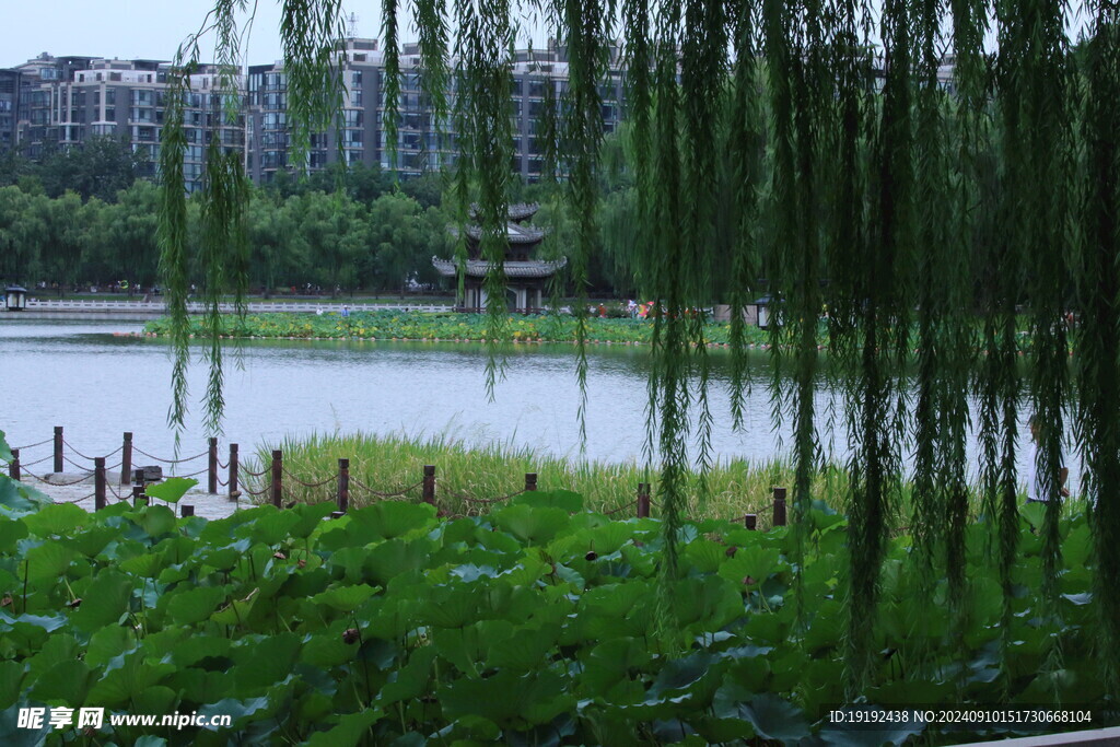 公园风景  