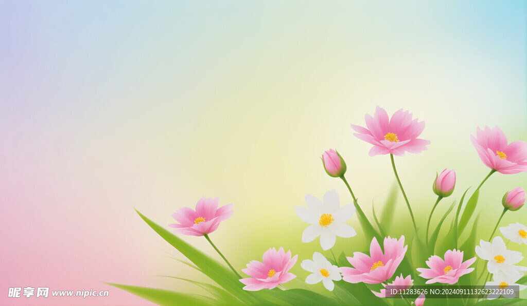 清新花朵背景