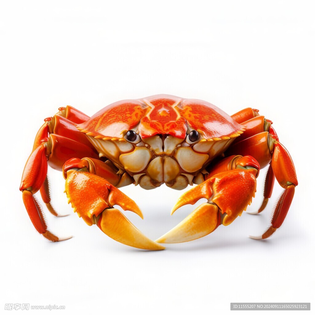 金秋高级食材大闸蟹螃蟹图片