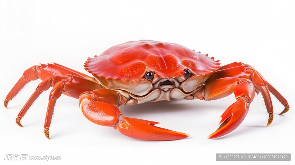 金秋高级食材大闸蟹螃蟹图片