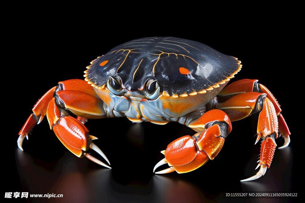 金秋高级食材大闸蟹螃蟹图片