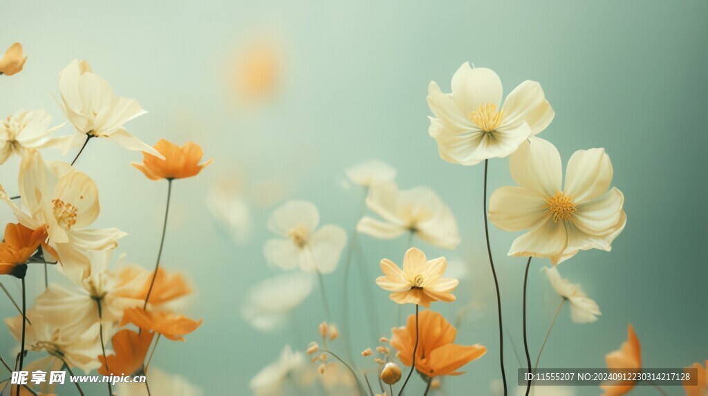 清爽鲜花花瓣花朵露珠背景图