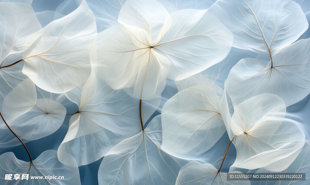 清爽鲜花花瓣花朵露珠背景图