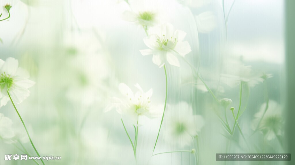 清爽鲜花花瓣花朵露珠背景图