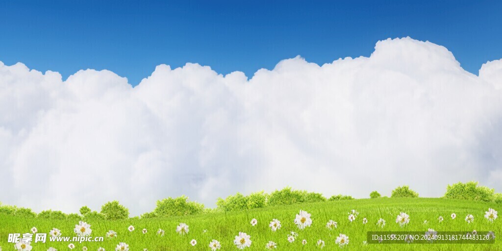 春光明媚户外风景鲜花草地