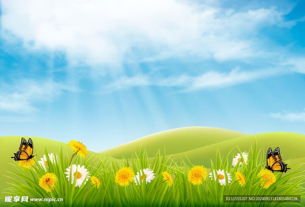 春光明媚户外风景鲜花草地