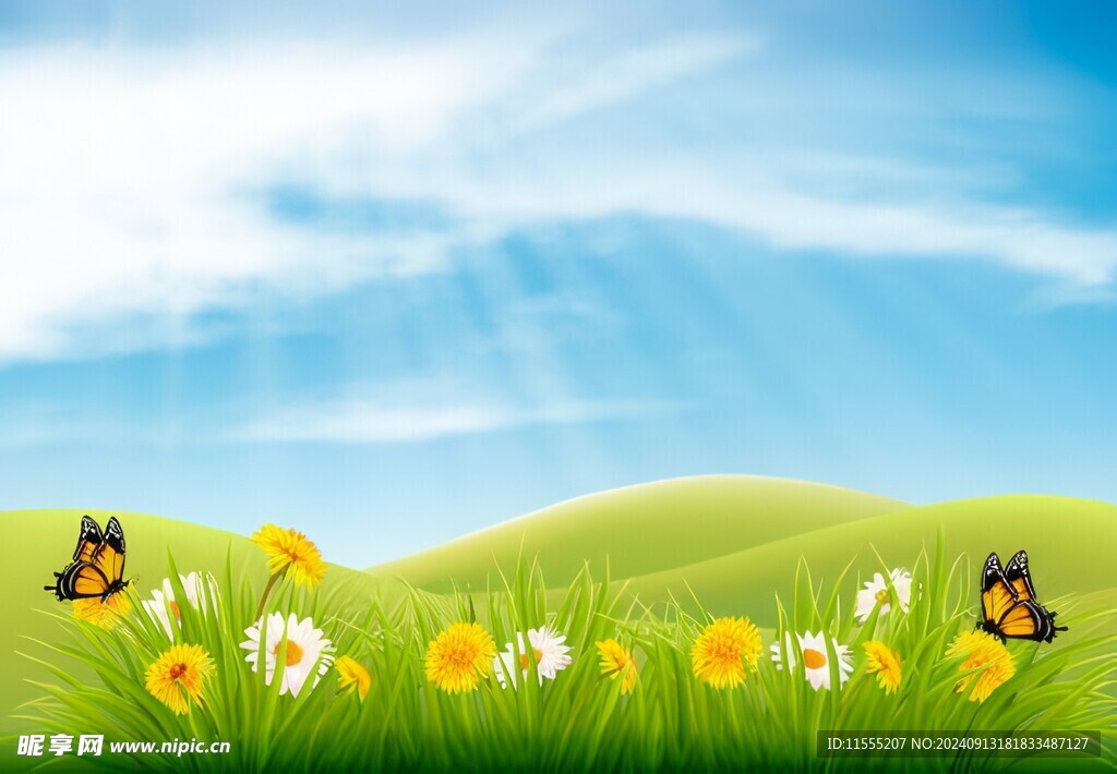 春光明媚户外风景鲜花草地