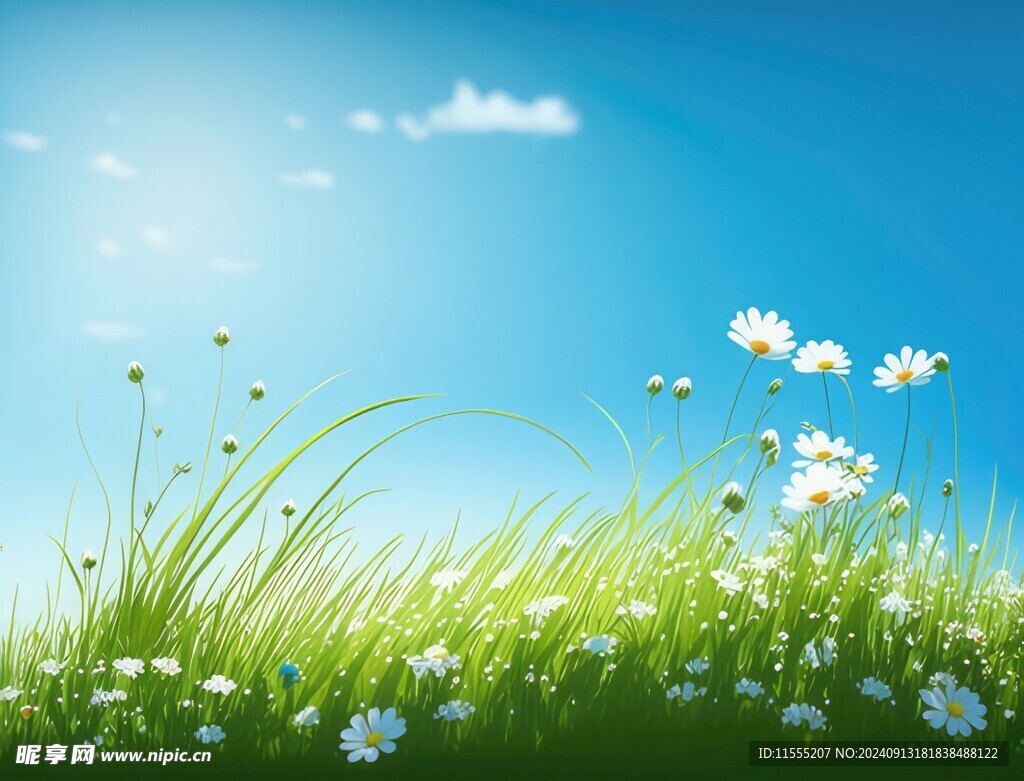 春光明媚户外风景鲜花草地