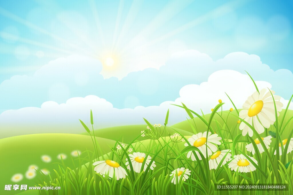 春光明媚户外风景鲜花草地