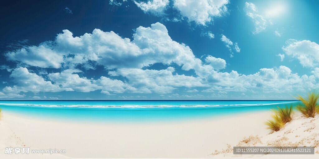 海滩景色云椰子树大海沙滩