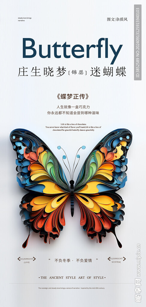 彩色蝴蝶招贴海报