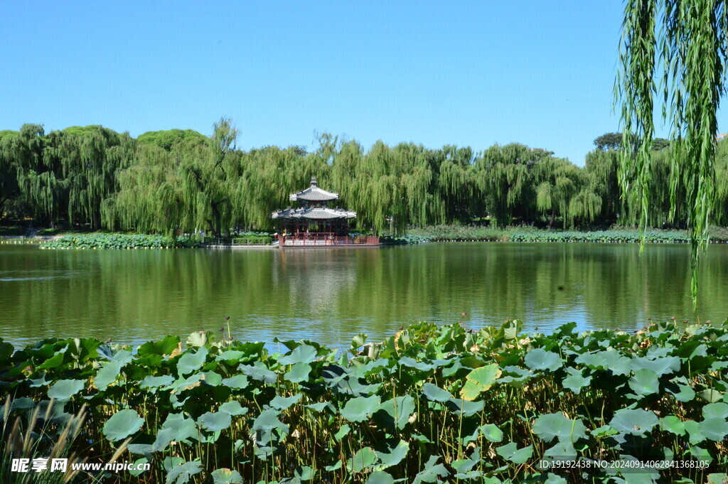 公园风景  