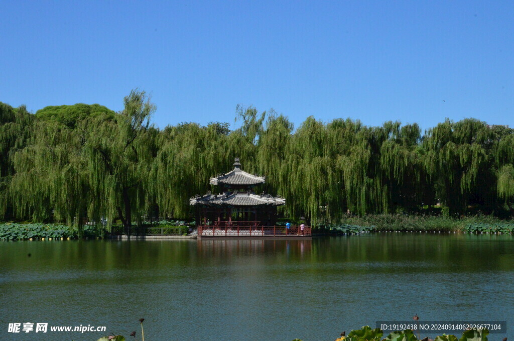 公园风景  