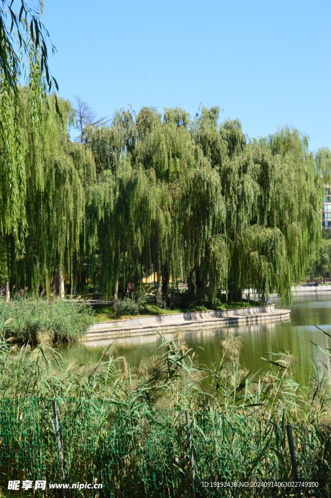 公园风景  