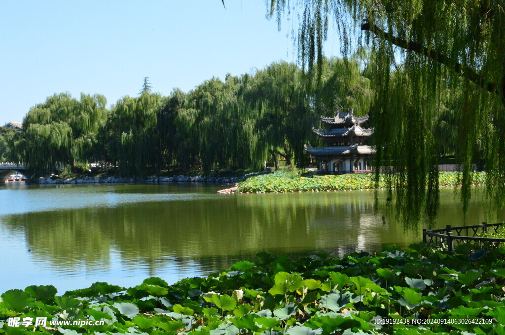 公园风景  