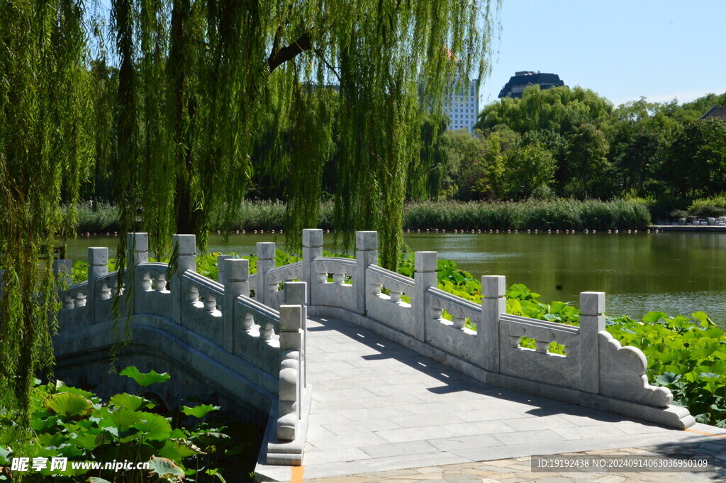 公园风景 