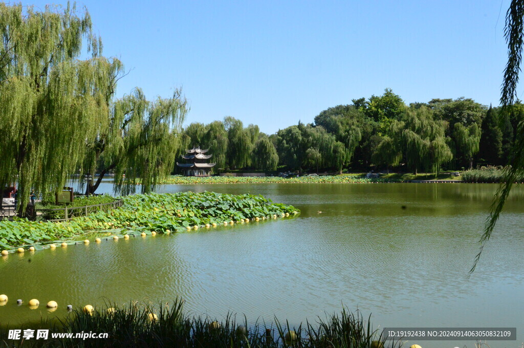 公园风景 
