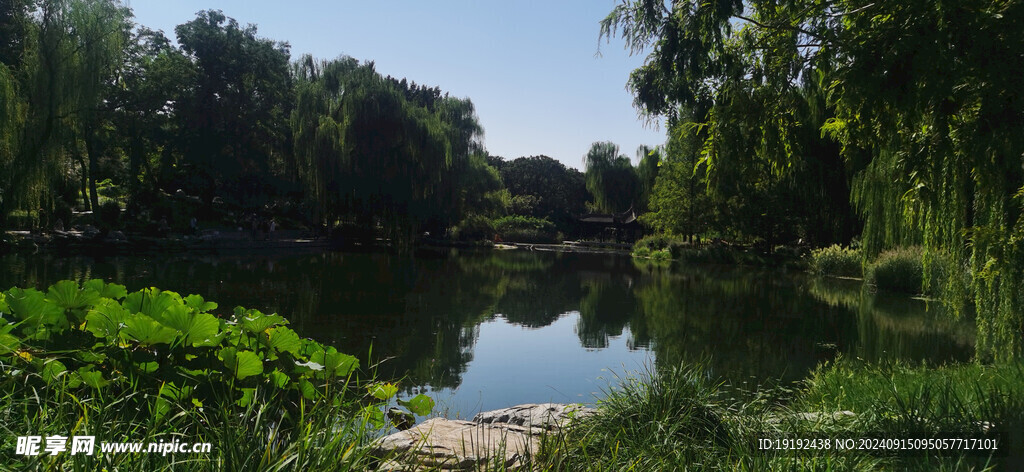 公园风景  