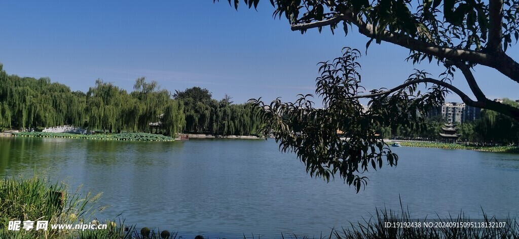 公园风景 