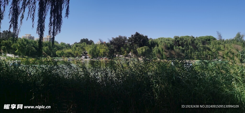 公园风景  