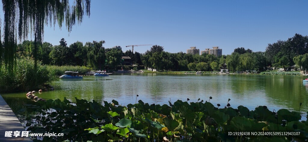 公园风景 