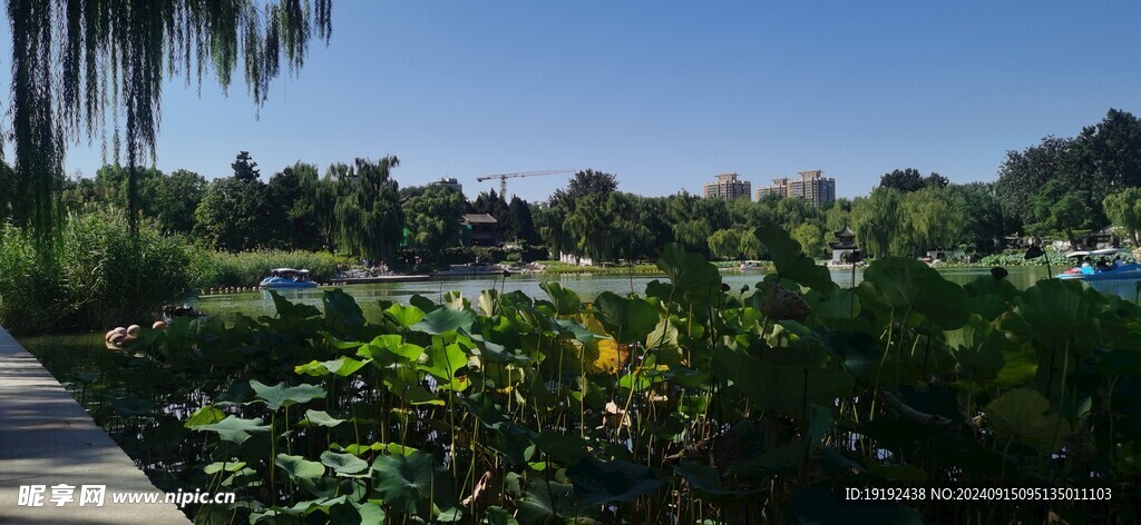 公园风景  