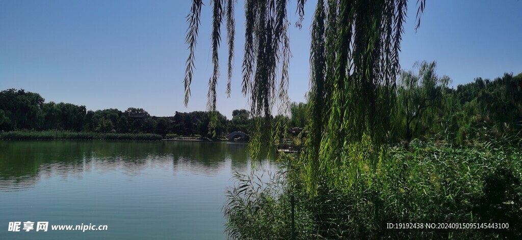 公园风景 
