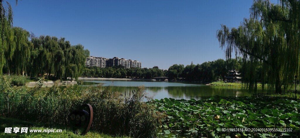 公园风景  