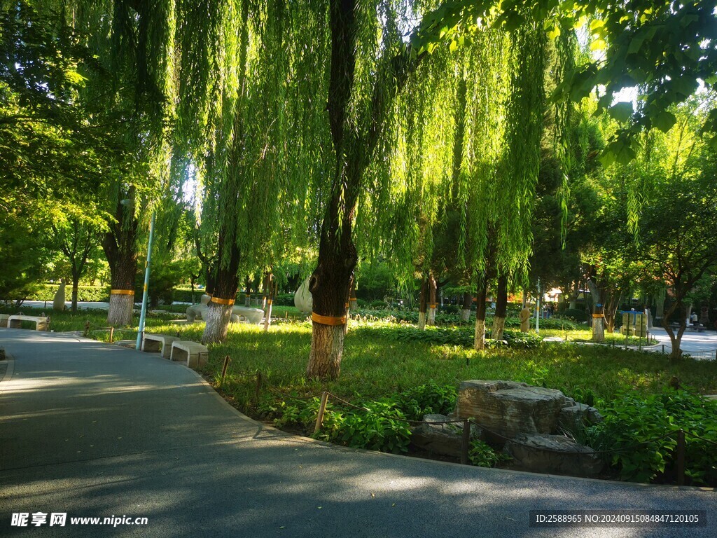 公园
