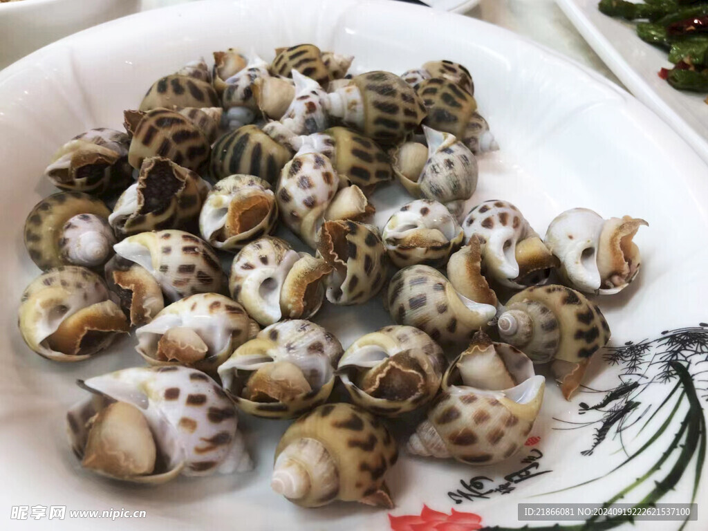 白灼花螺 