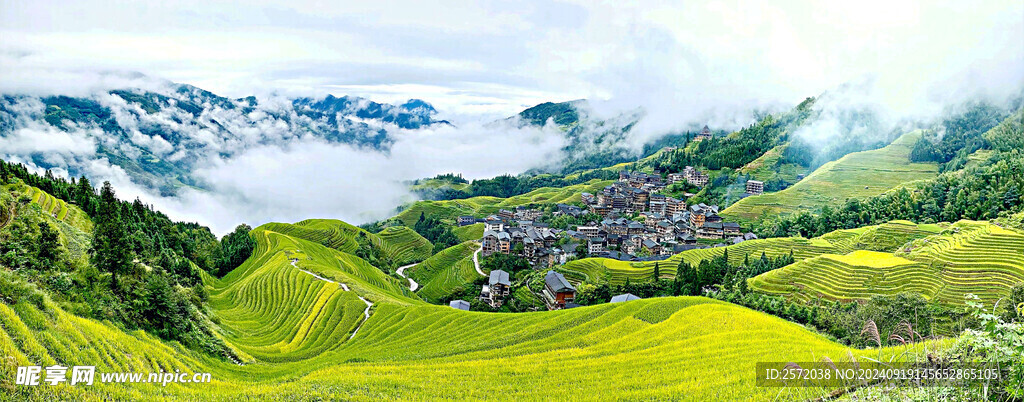 龙脊梯田