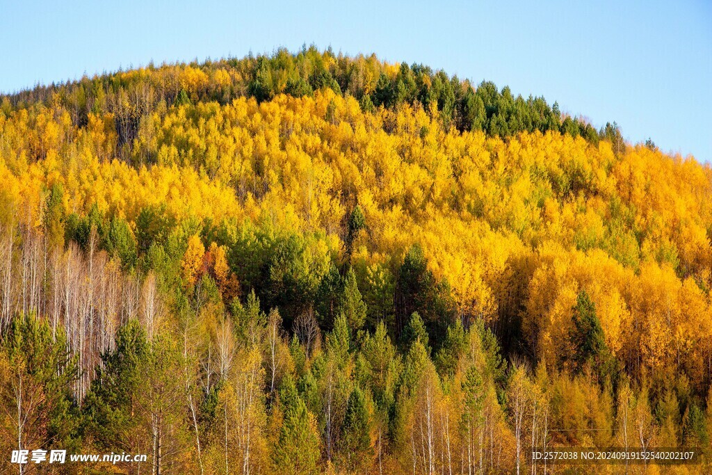 黑龙江大兴安岭