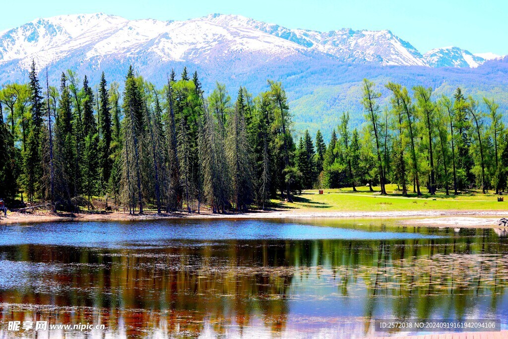  阿尔泰山喀纳斯