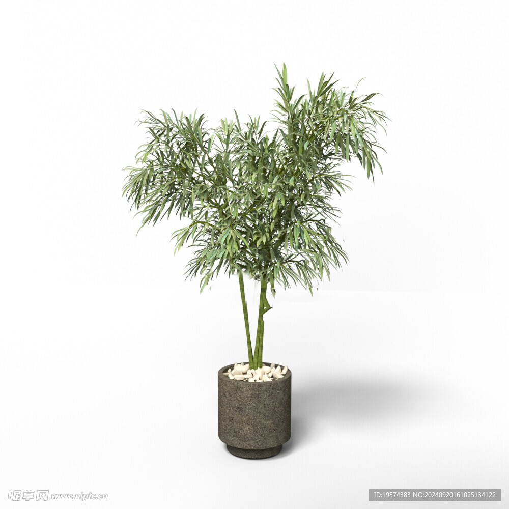 C4D模型 绿色植物