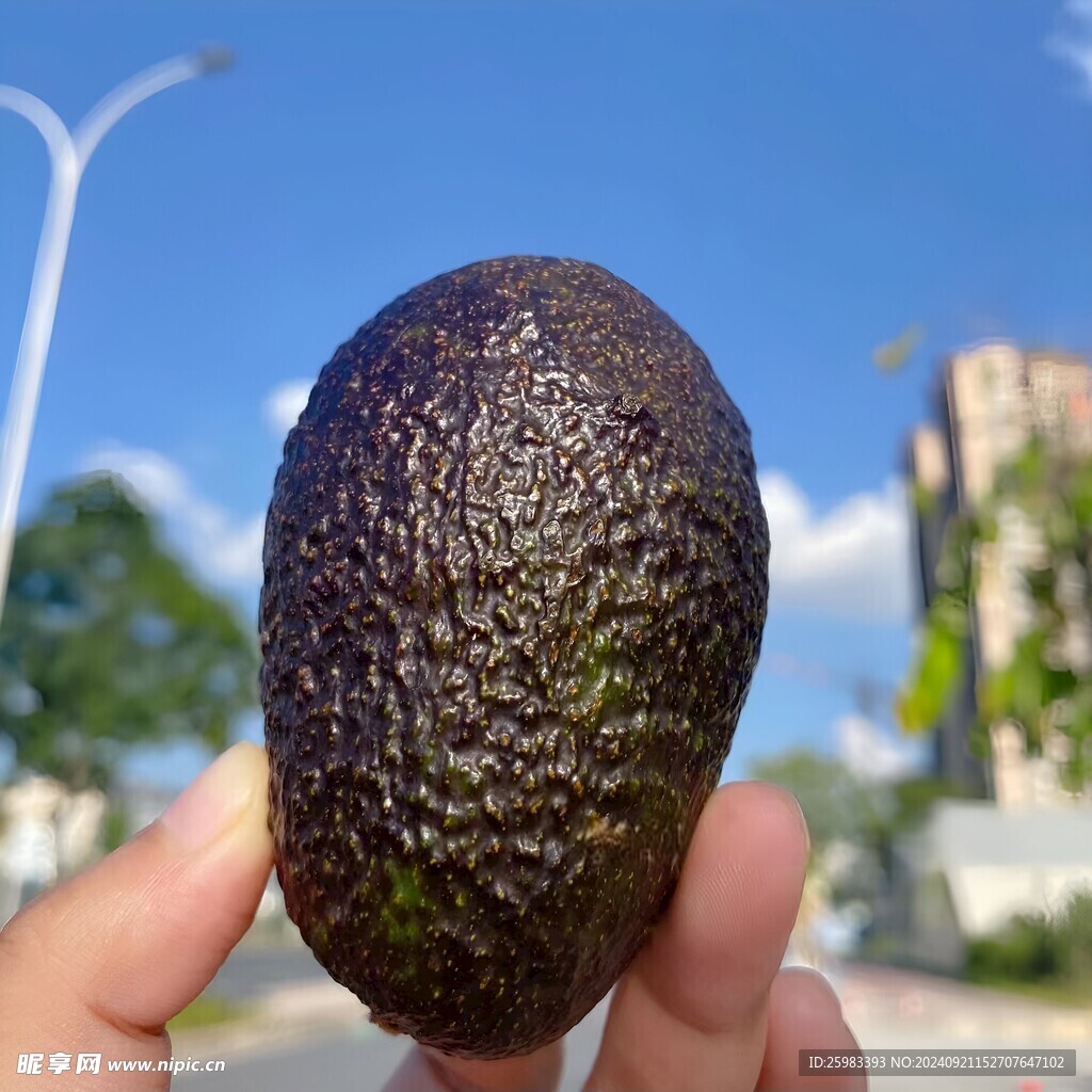 牛油果