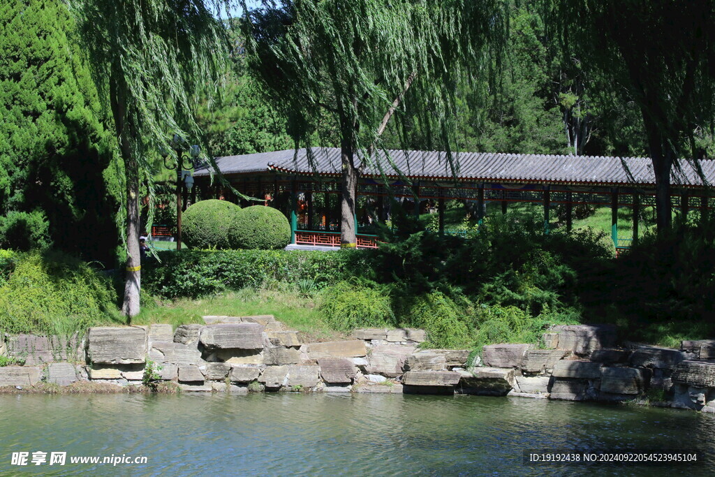 公园风景  