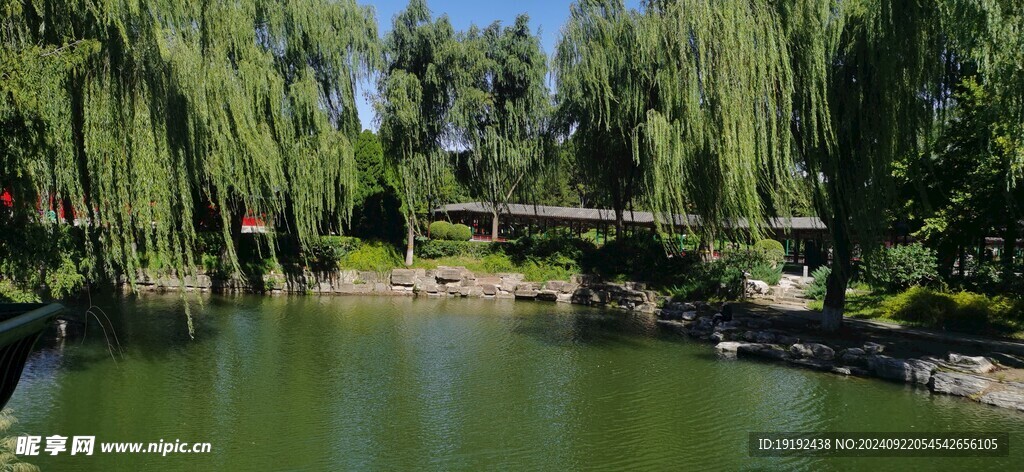 公园风景  