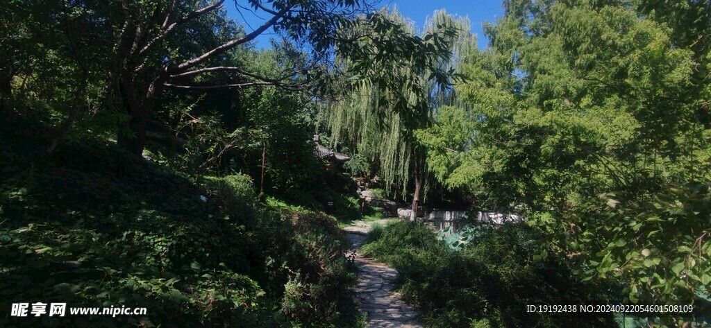 公园风景 