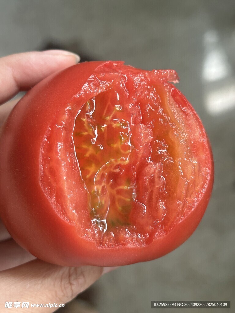 西红柿