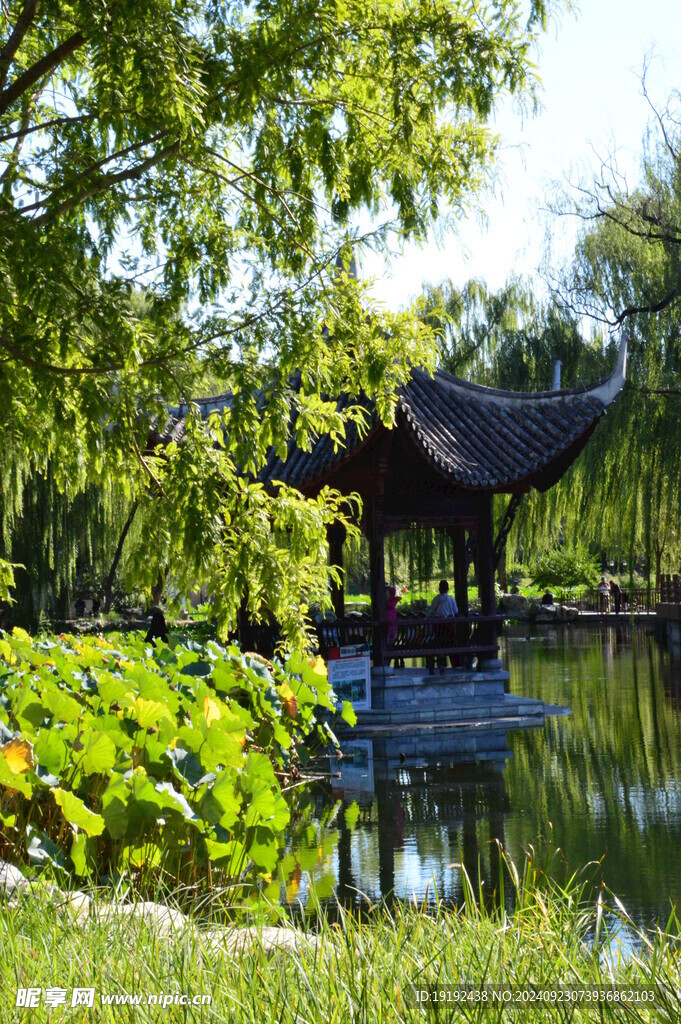 公园风景  