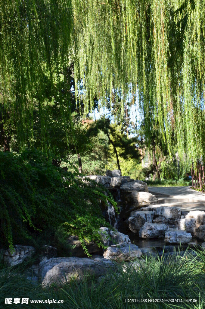 公园风景 