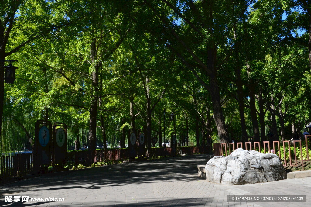 公园风景  