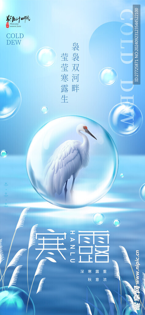 蓝色时尚寒露节气宣传海报