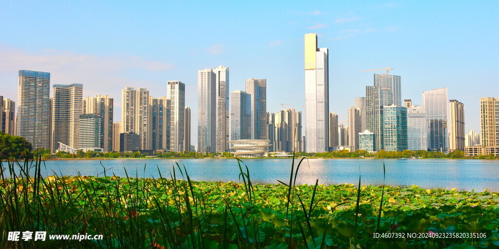 长沙城市公园美景 