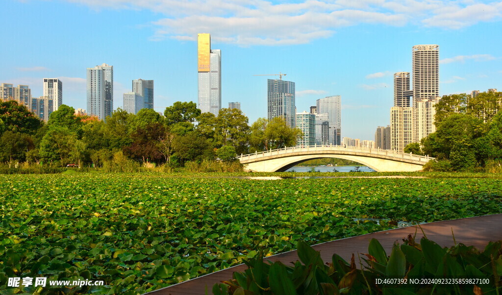 长沙城市公园美景