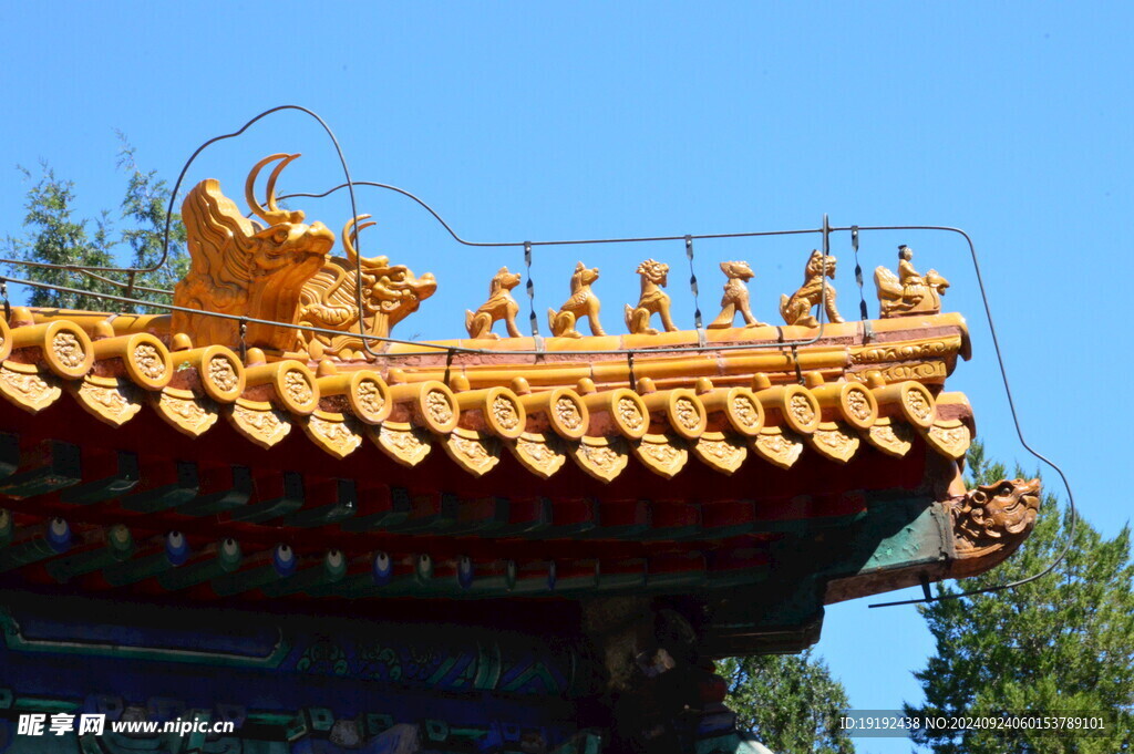 公园风景 