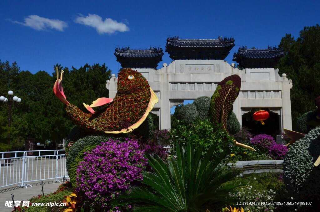 公园风景  