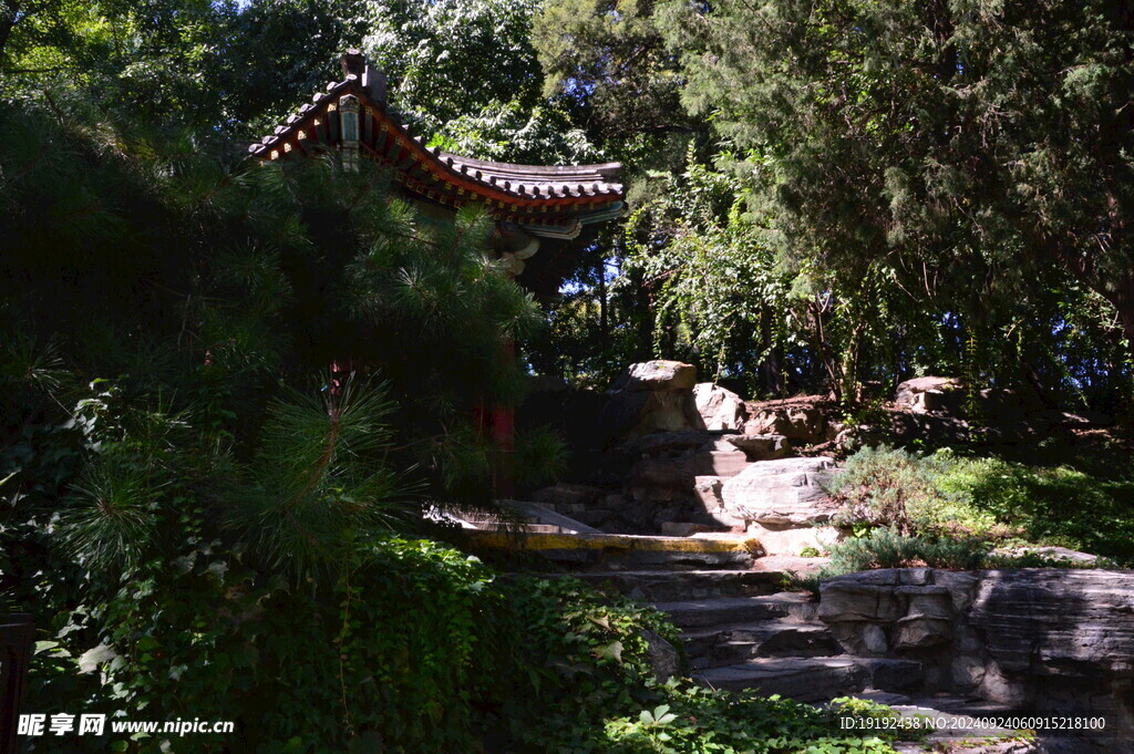 中山公园风景 