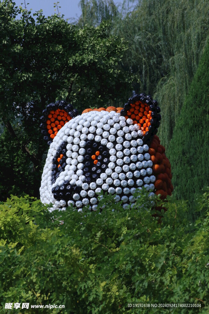 公园风景  