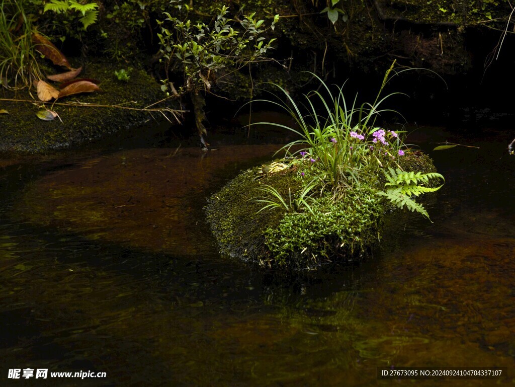 溪水绿植
